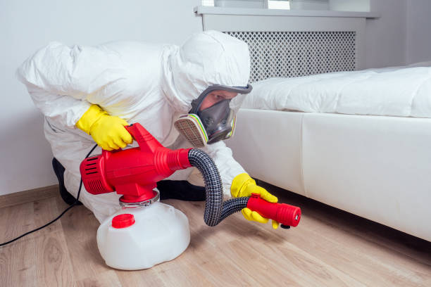 Professional Pest Control in Rimersburg, PA