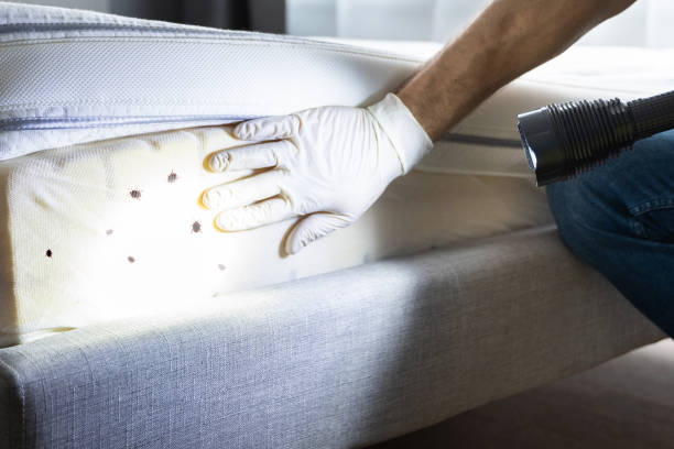 Pest Control for Restaurants in Rimersburg, PA